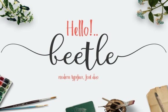 Beetle Duo Font: Where Whimsical Scripts Meet Modern Sans