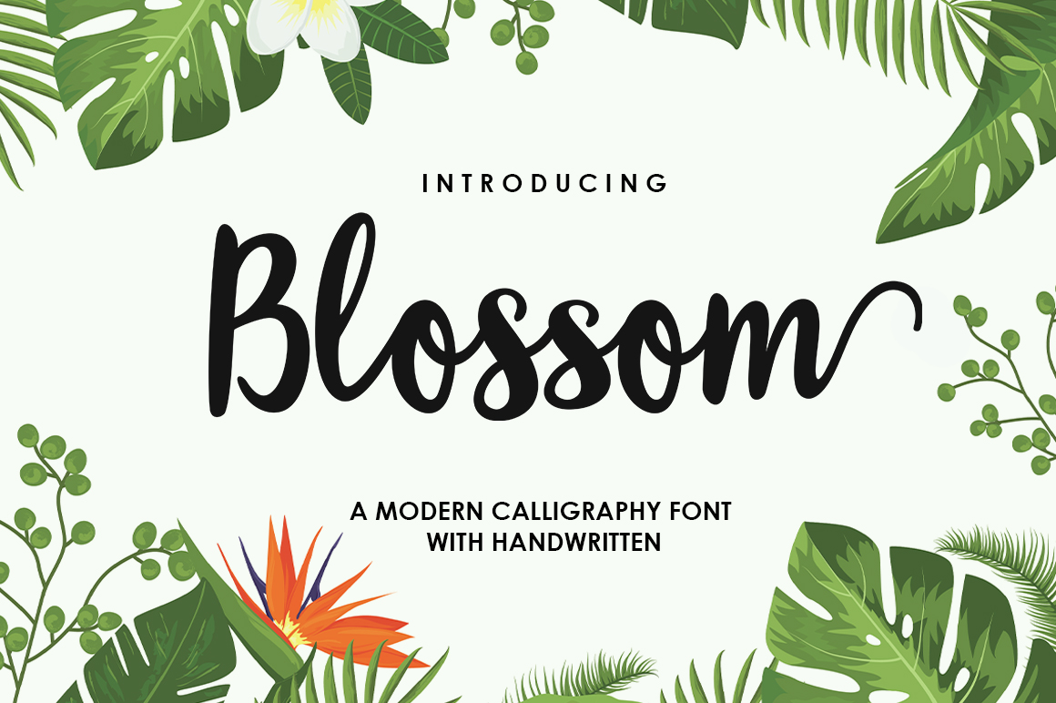 Why Blossom Script Is a Designer's Secret Weapon